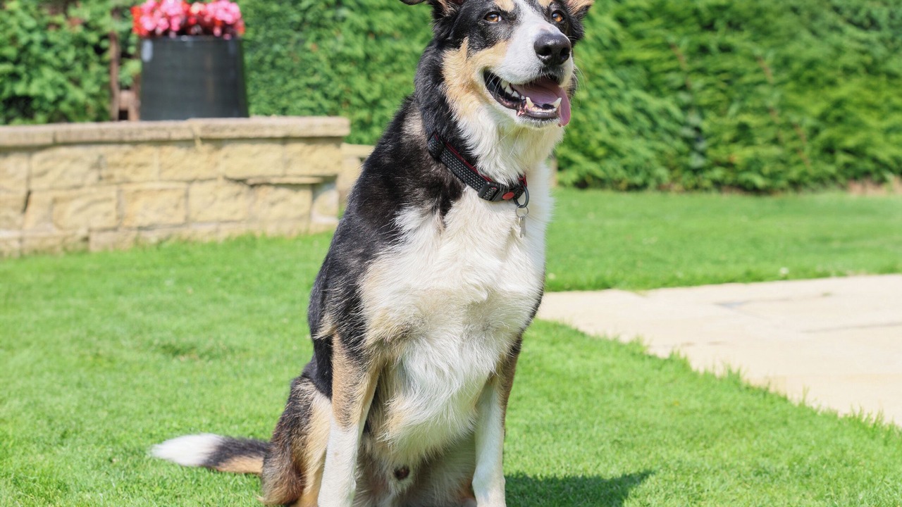 Photo of Outdoor in Pitchcombe