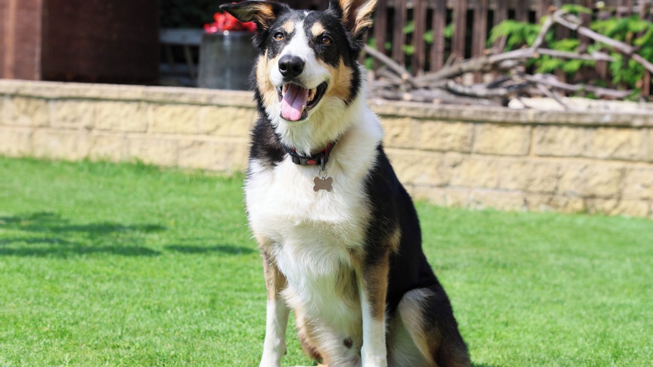 Photo of Others in Pitchcombe