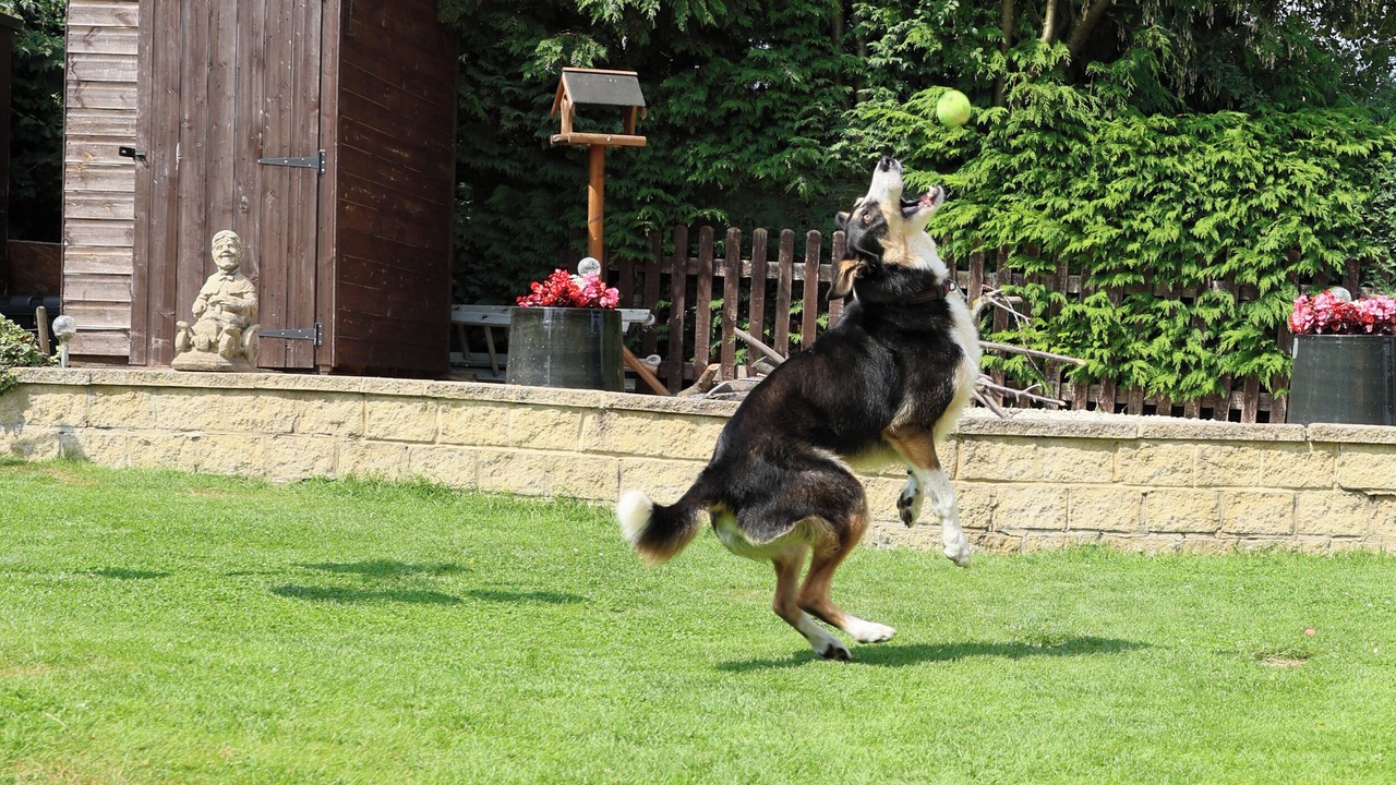 Photo of Outdoor in Pitchcombe