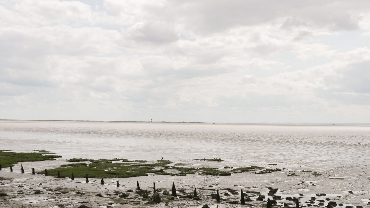 Photo of Others in Ottringham