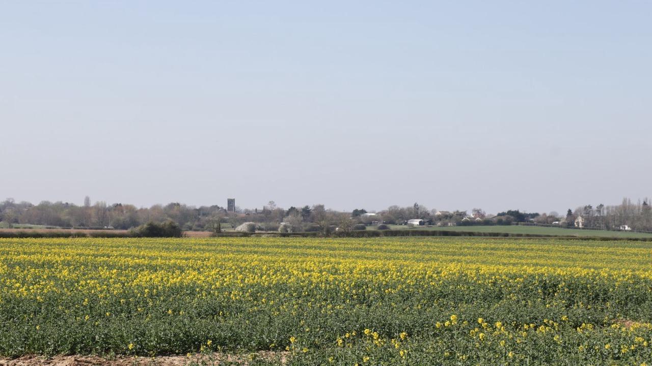 Photo of Others in Ottringham