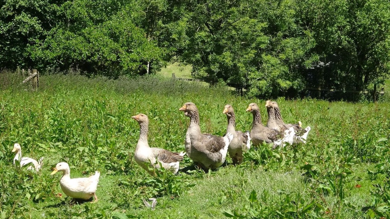 Photo of Others in Washbourne