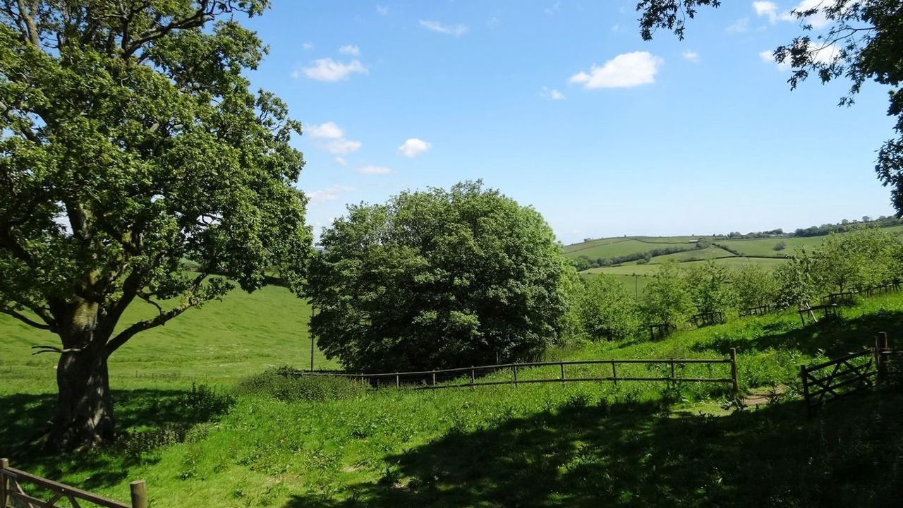 Photo of Others in Washbourne