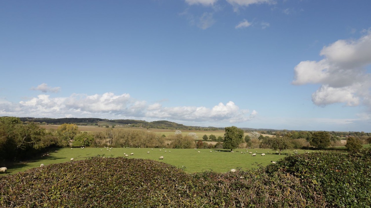 Photo of Others in Ardens Grafton