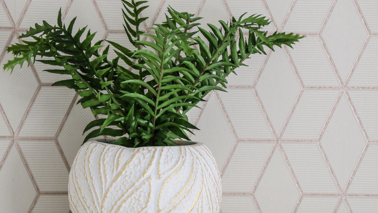 Photo of Others in Thornton Dale