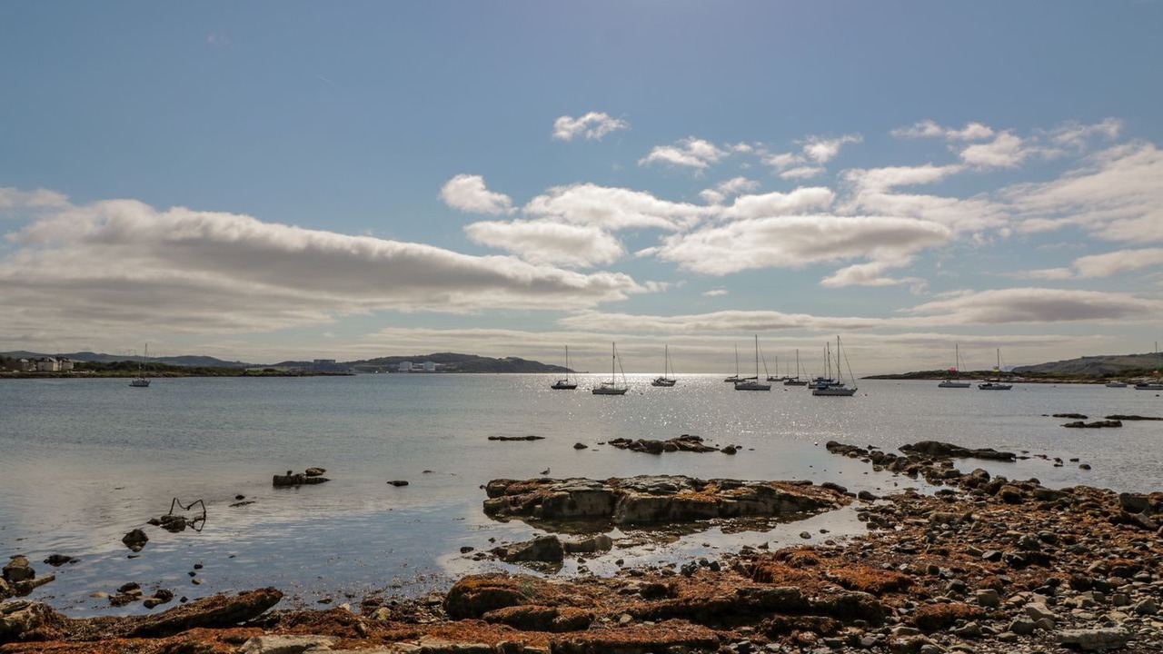 Photo of Others in Millport