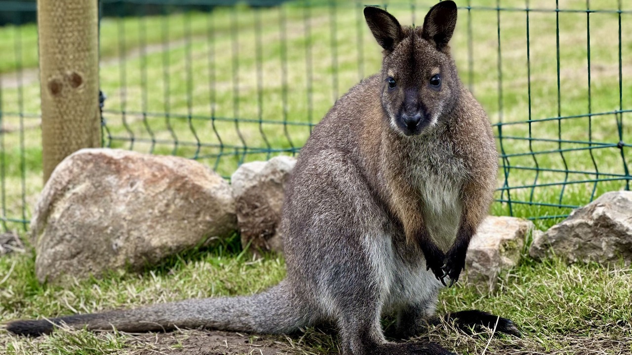 Photo of Others in Leek