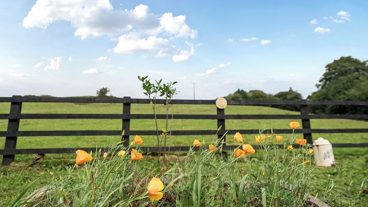 Photo of Others in Leek
