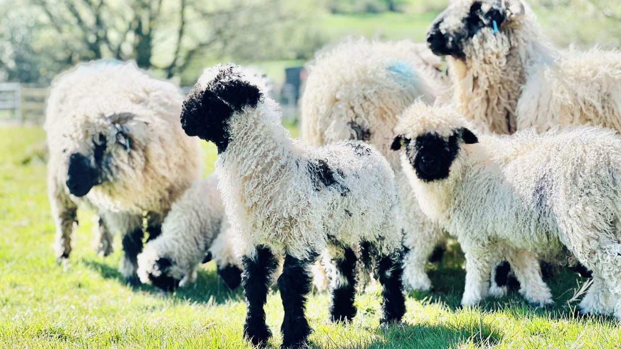 Photo of Others in Leek