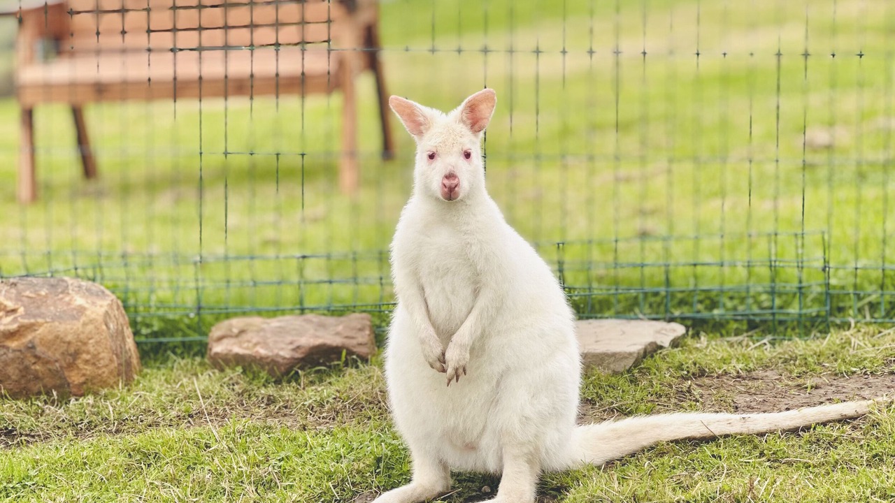 Photo of Others in Leek