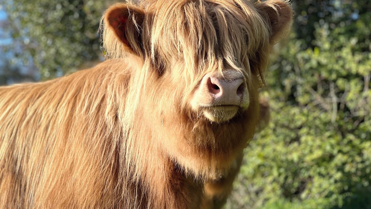 Photo of Others in Leek