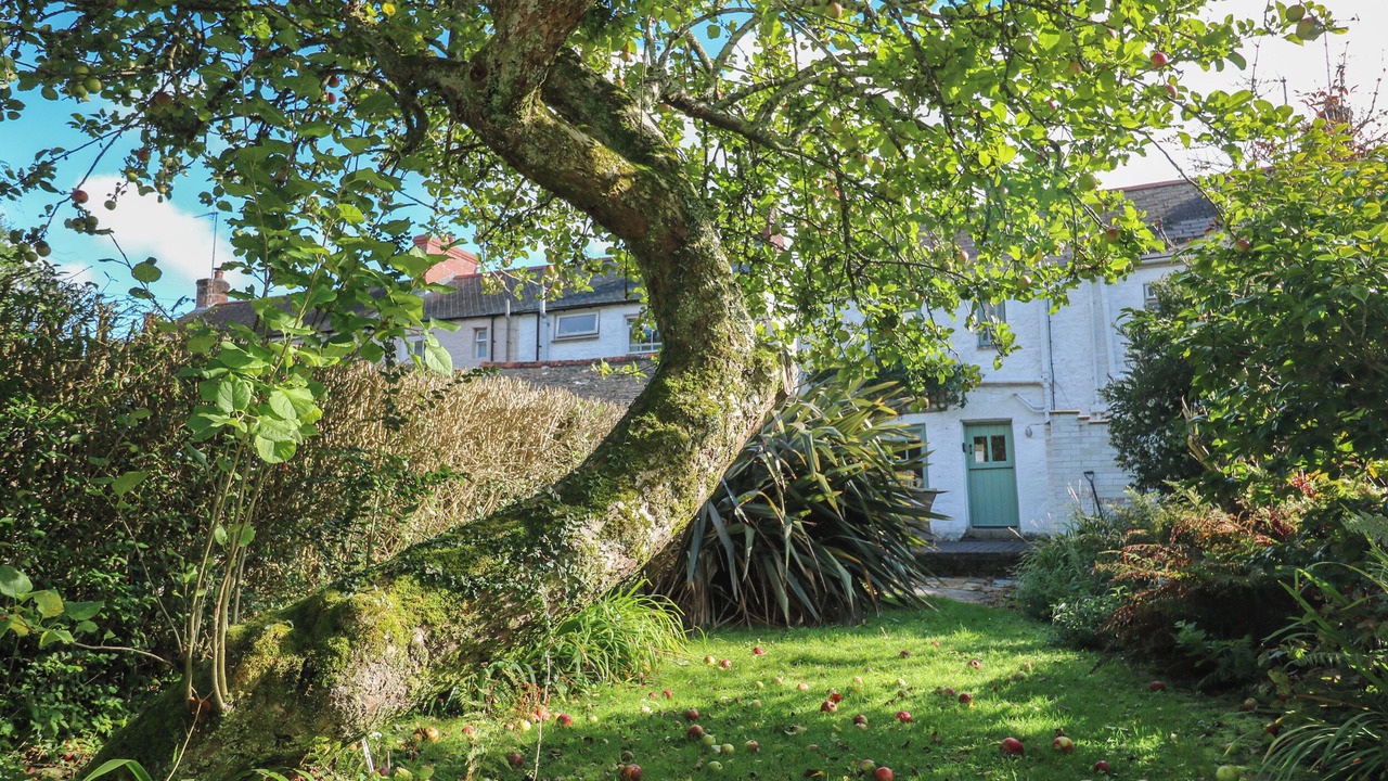 Photo of Outdoor in Gweek