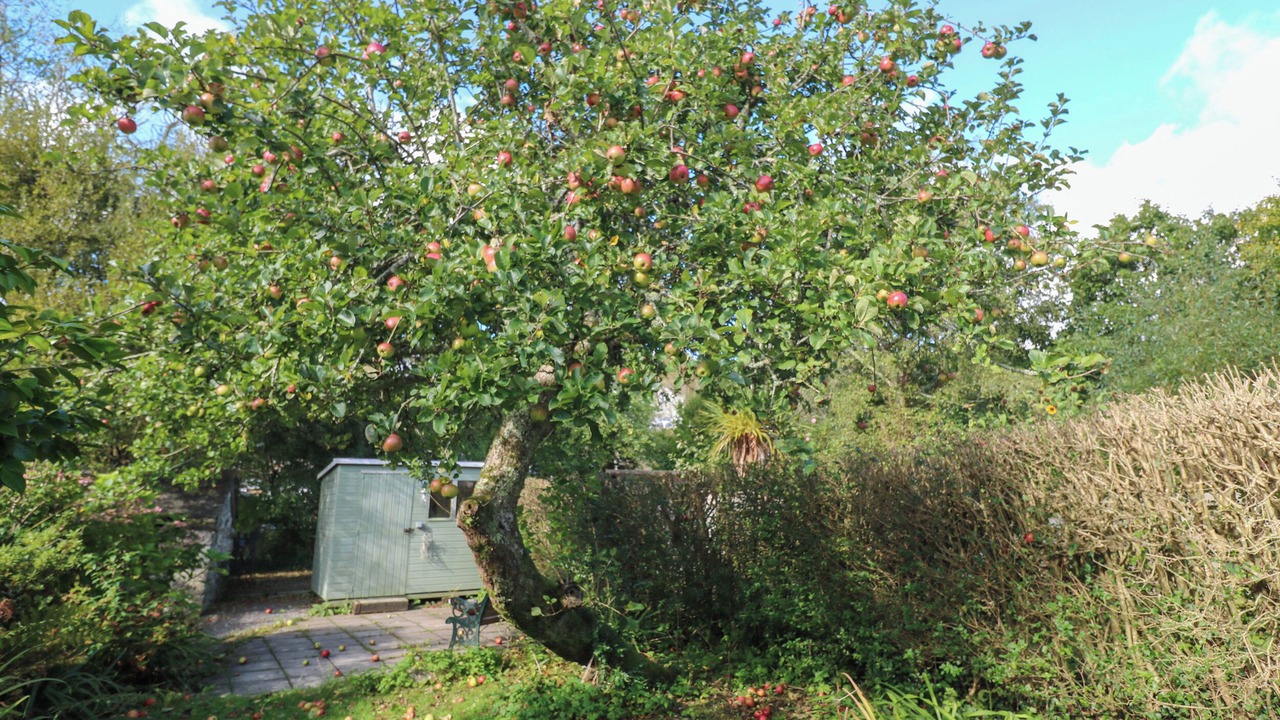 Photo of Others in Gweek