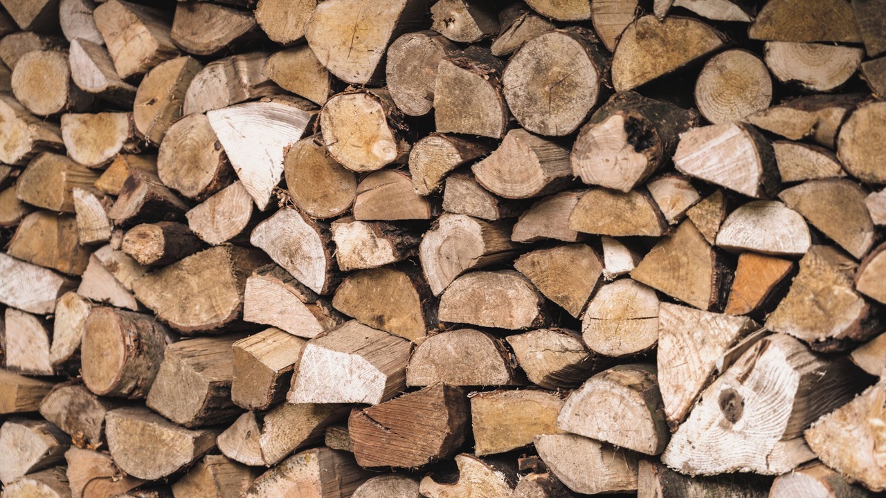 Photo of Others in Winestead