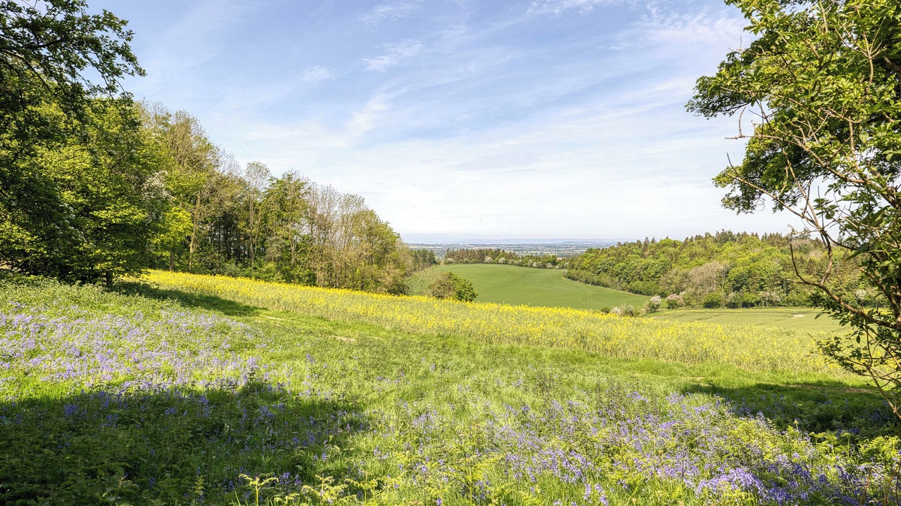 Photo of Others in Eaton Mascott