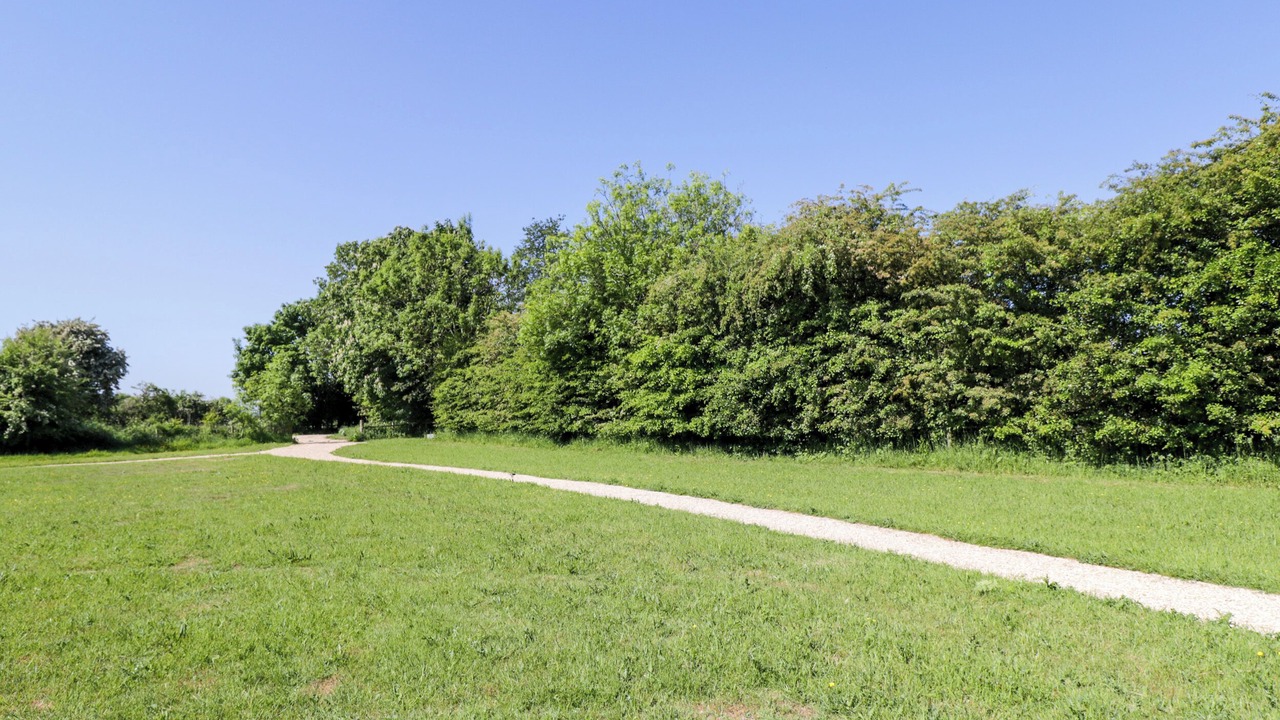 Photo of Others in South Leigh