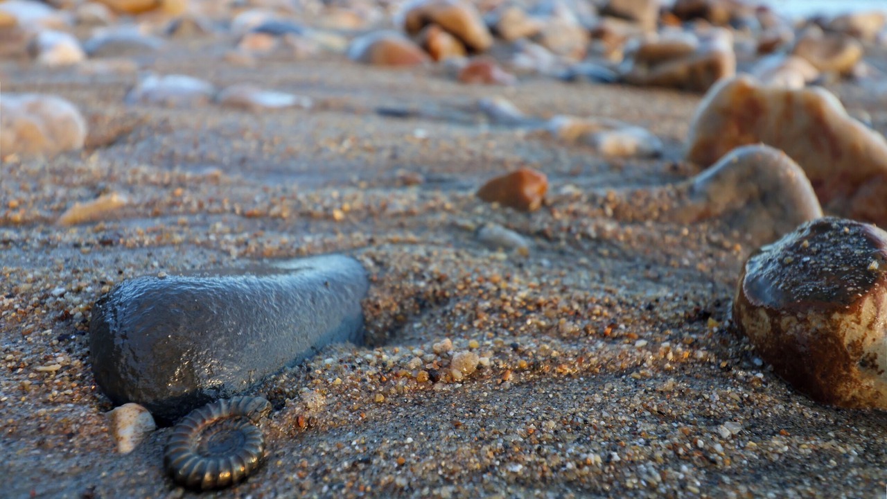 Photo of Others in Chard