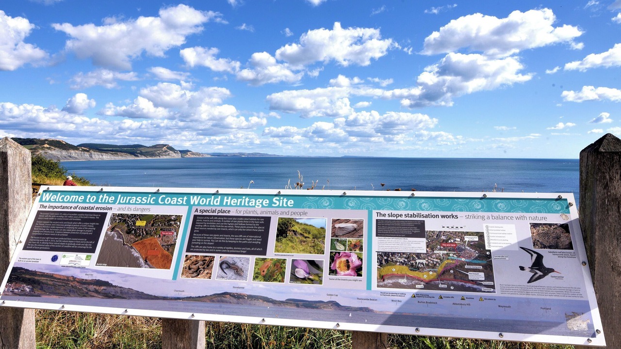 Photo of Others in Chard