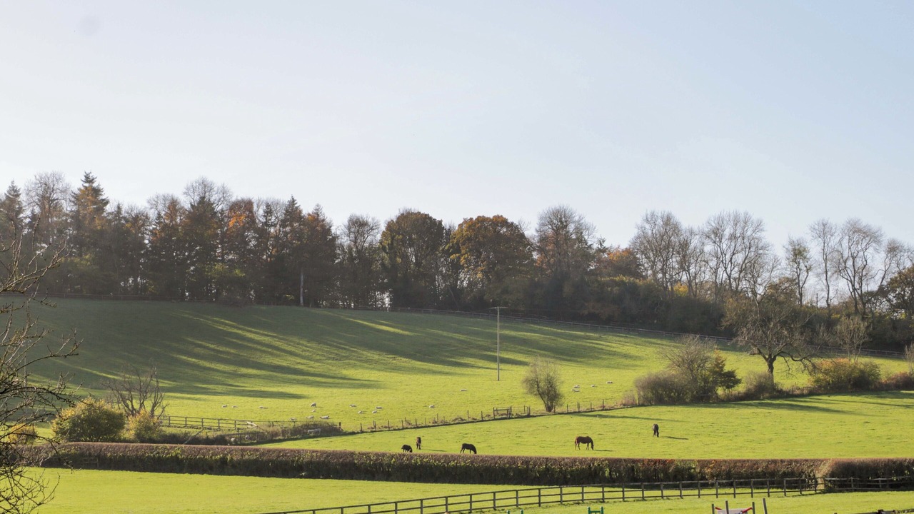 Photo of Others in Teffont Evias