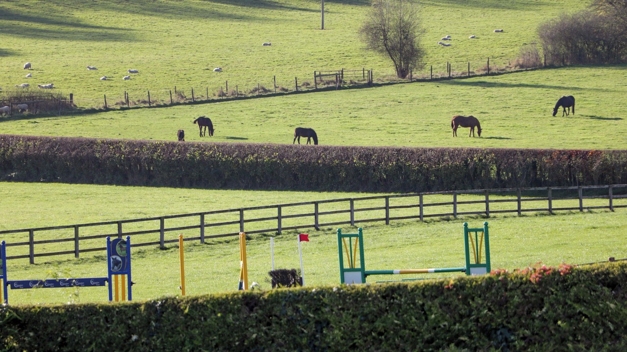 Photo of Others in Teffont Evias