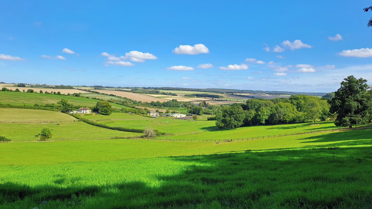 Photo of Others in Teffont Evias