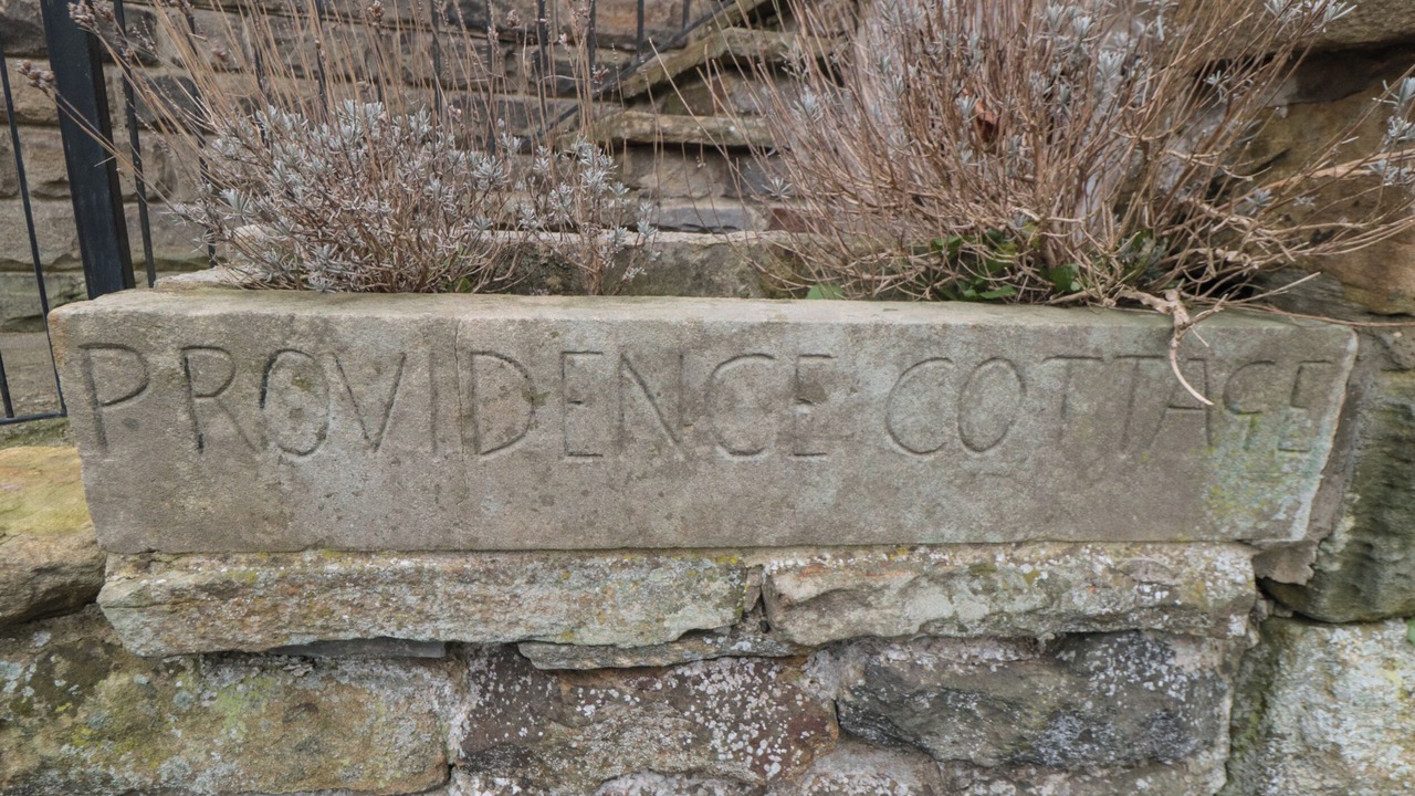 Photo of Outdoor in Briggswath