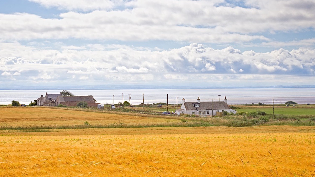 Photo of Others in Carsethorn