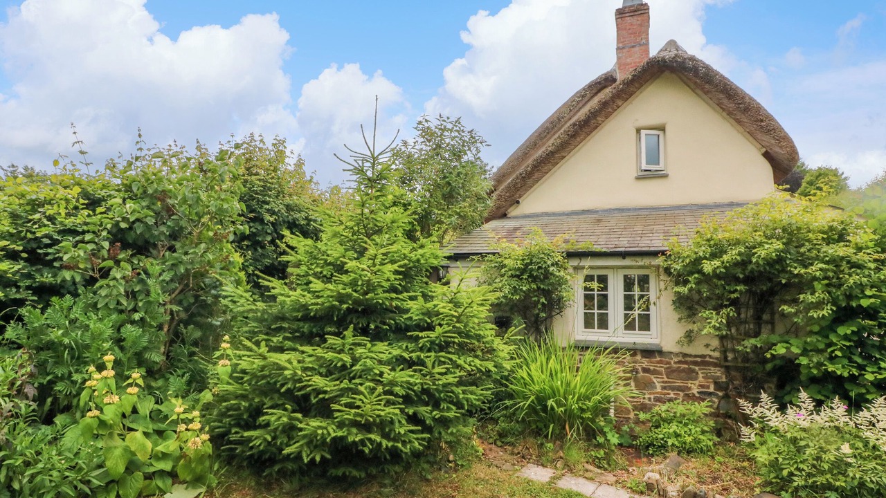 Photo of Outdoor in Exbourne