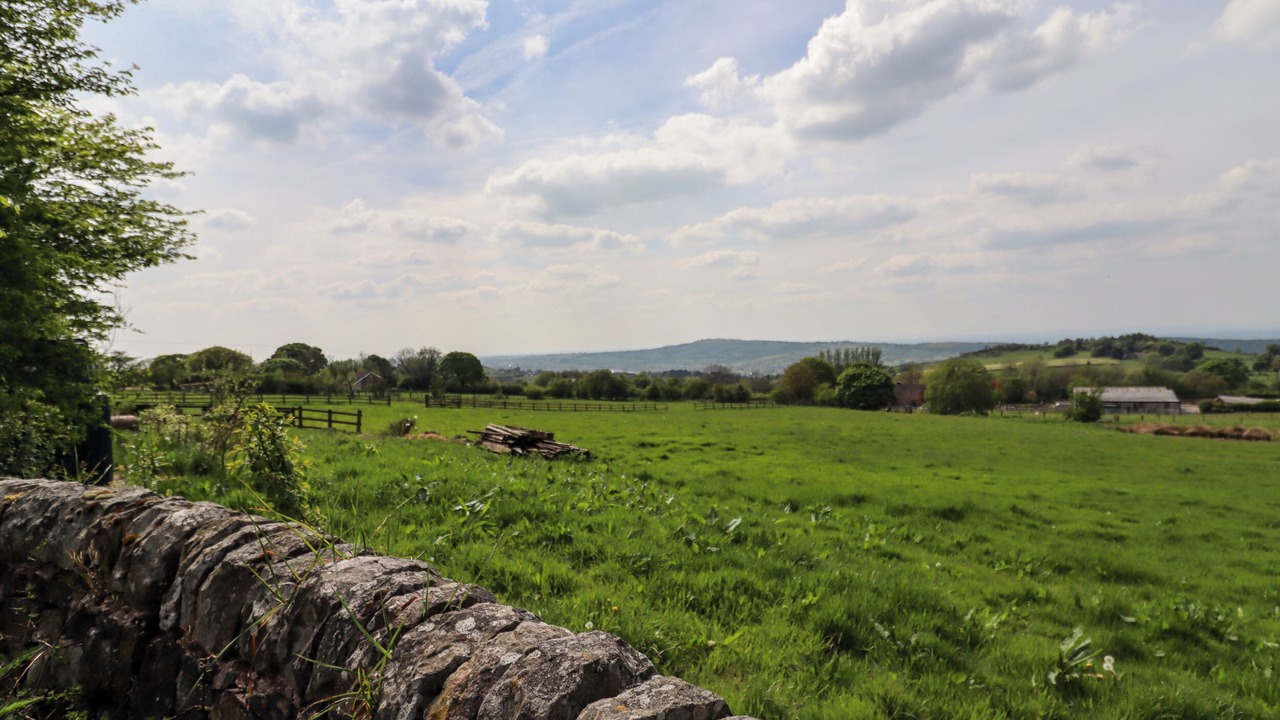 Photo of Others in Tunstall