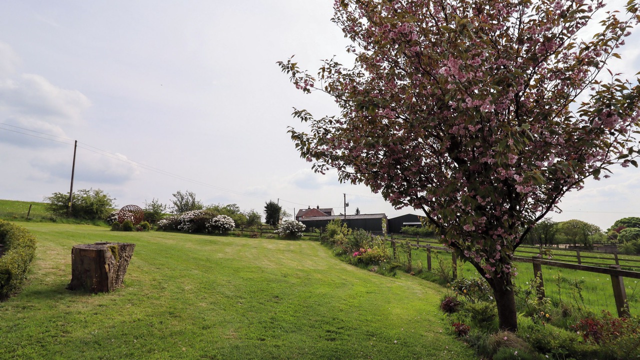 Photo of Outdoor in Tunstall