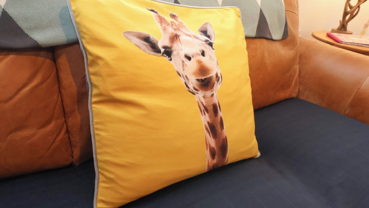 Photo of Others in Marske-by-the-Sea