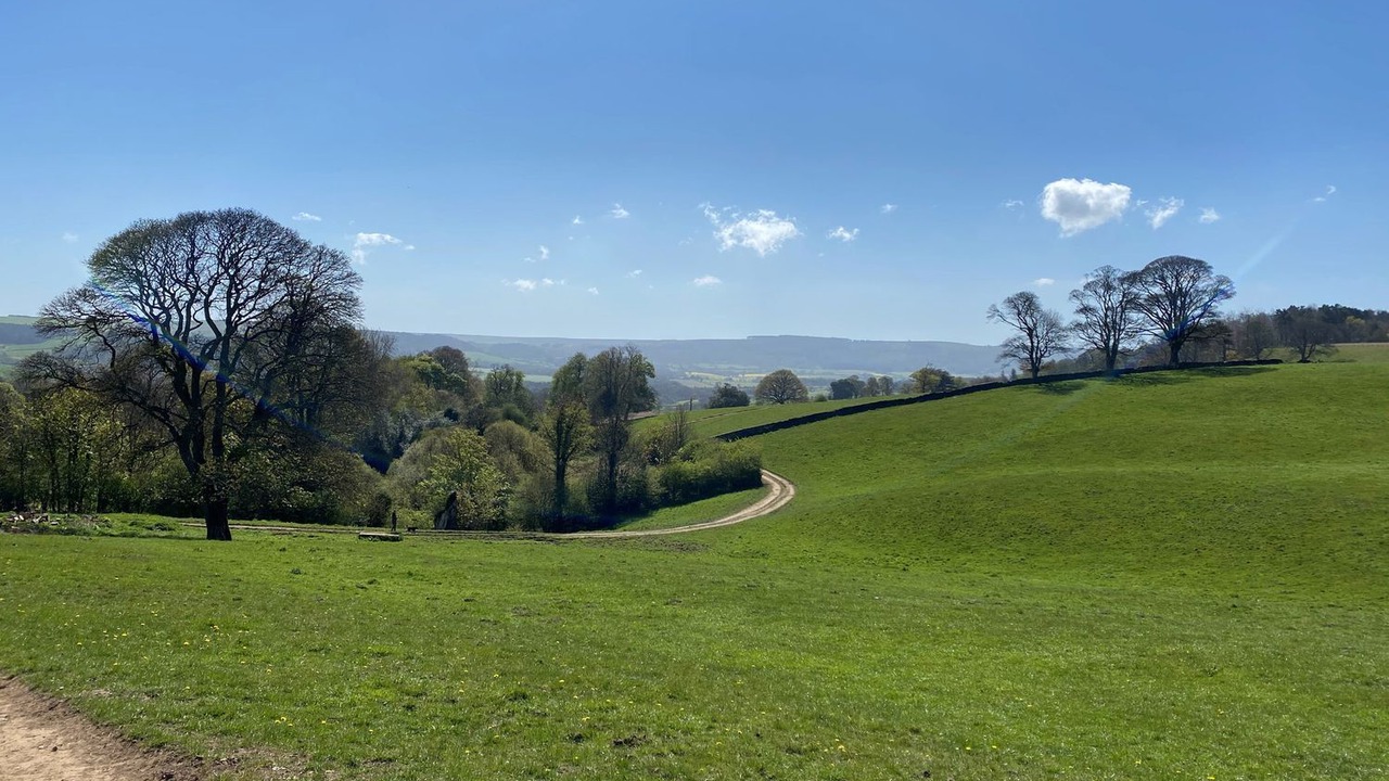 Photo of Others in Marske-by-the-Sea