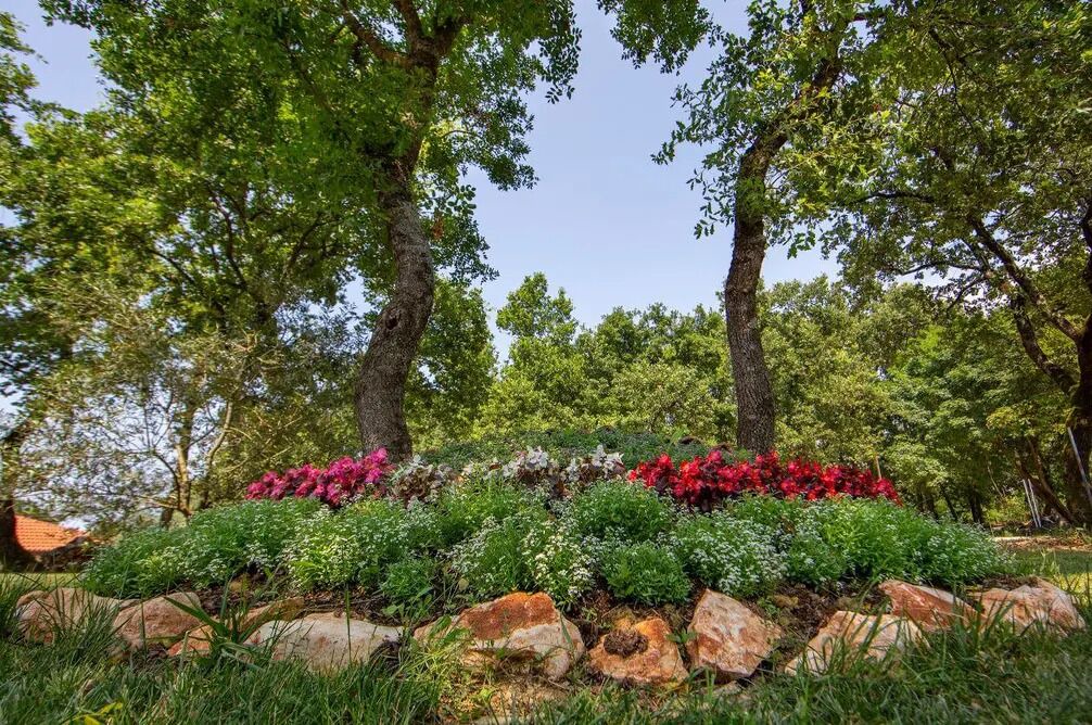 Photo of Outdoor in Vilanija