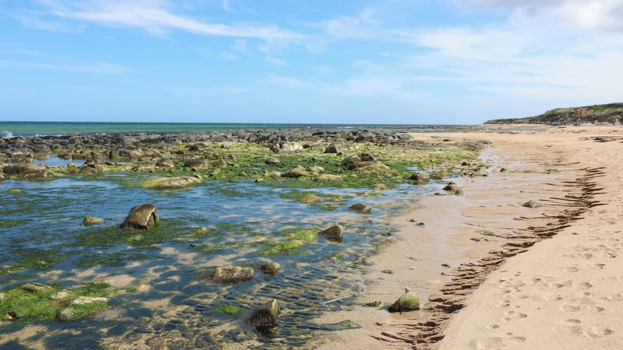 Photo of Others in St Combs