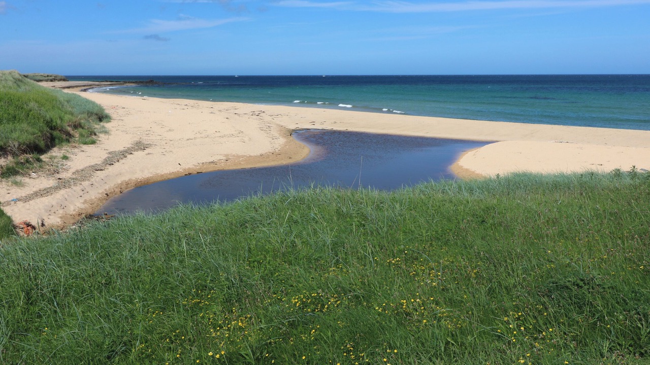 Photo of Others in St Combs