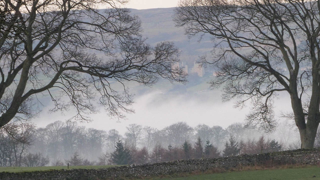 Photo of Others in West Witton