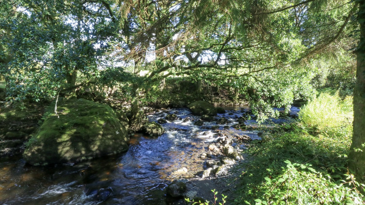 Photo of Others in Llanuwchllyn