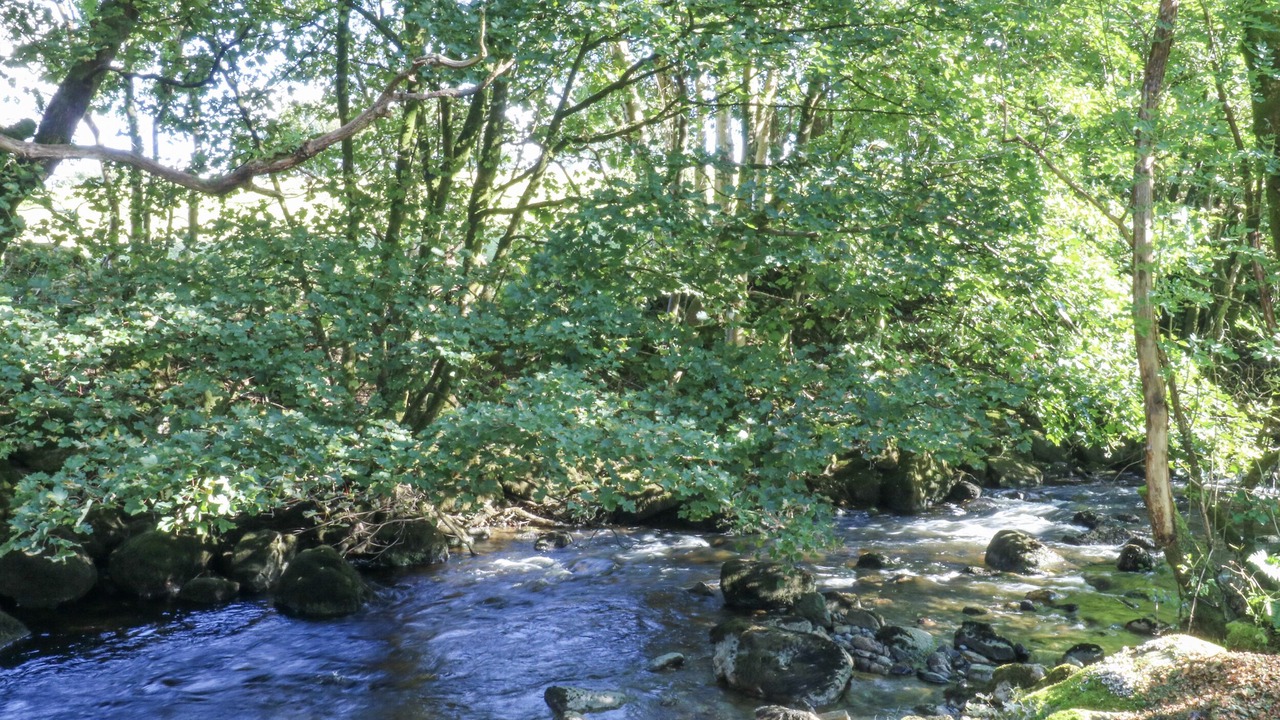 Photo of Others in Llanuwchllyn