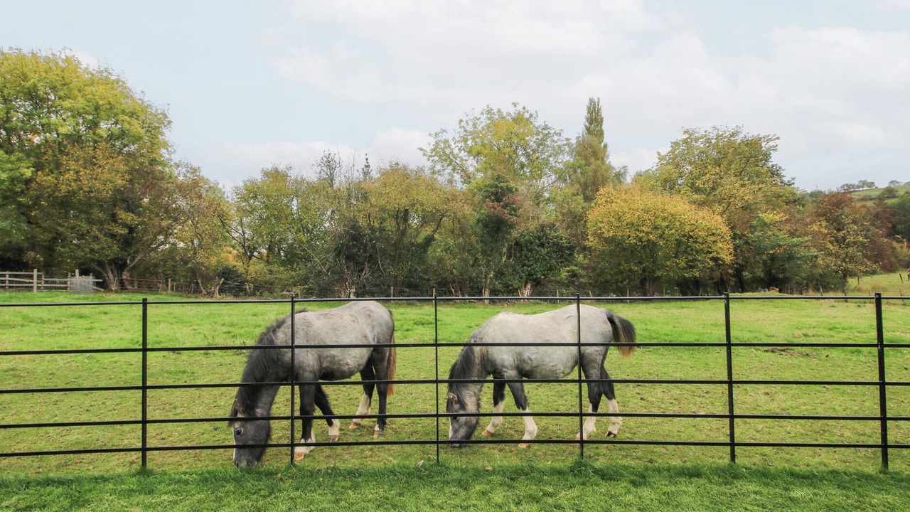 Photo of Others in Wall-under-heywood
