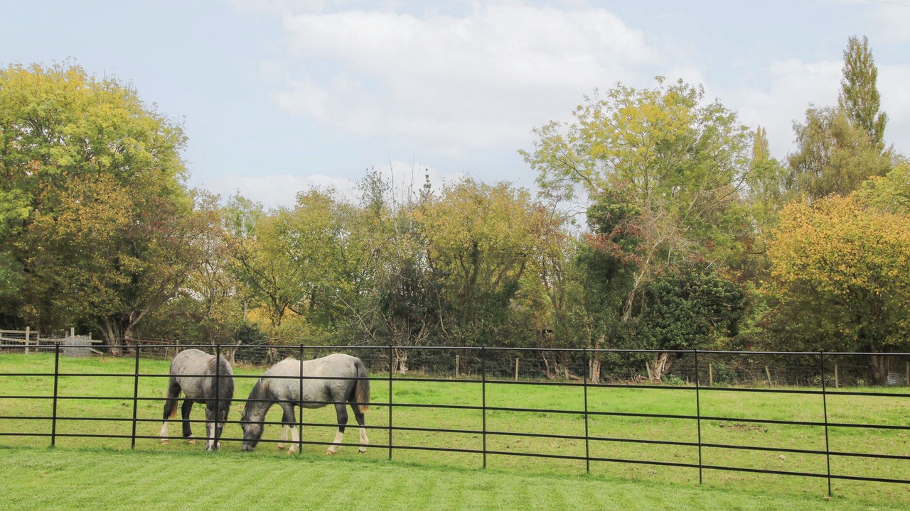 Photo of Others in Wall-under-heywood