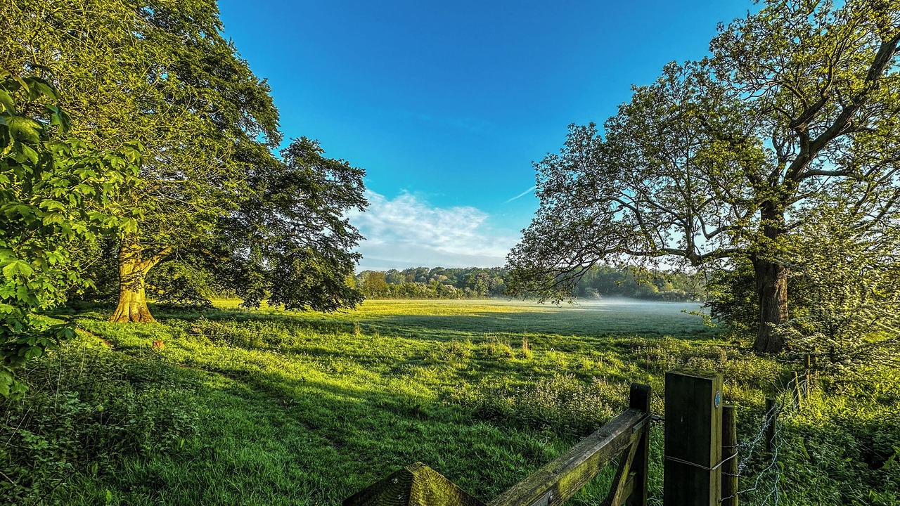 Photo of Others in Hornsea