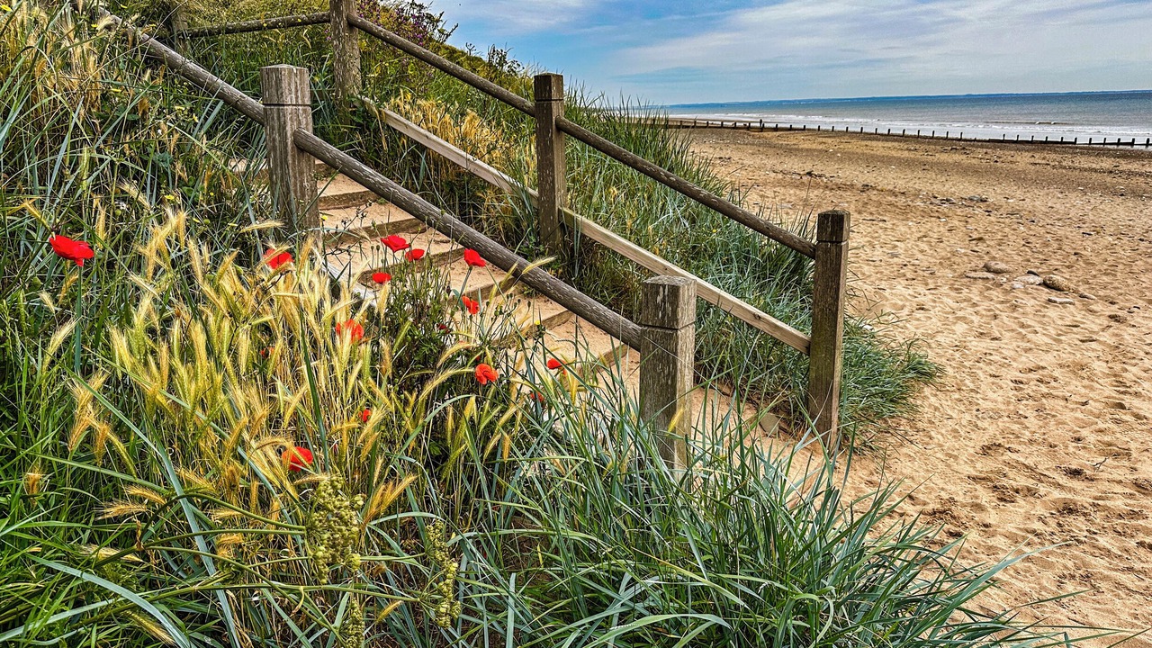 Photo of Others in Hornsea