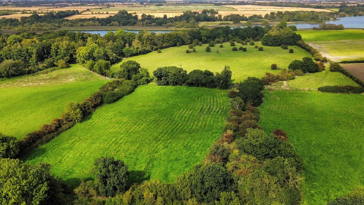 Photo of Outdoor in Hornsea