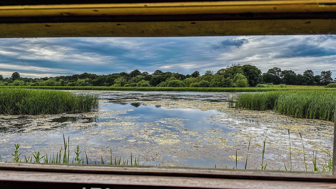 Photo of Others in Hornsea