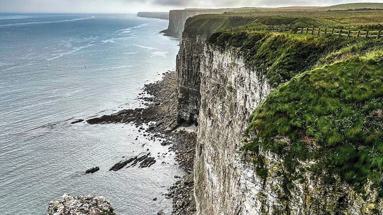 Photo of Others in Hornsea