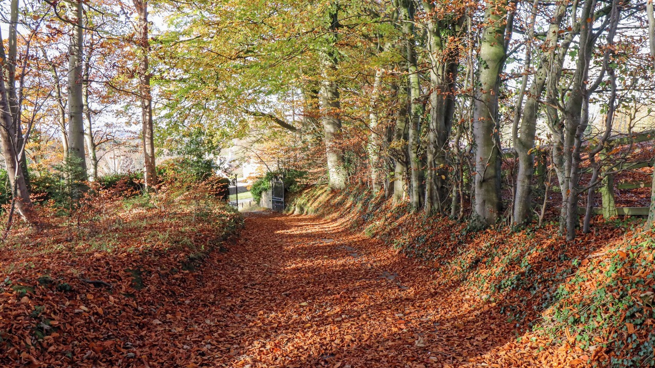Photo of Others in Knaresborough