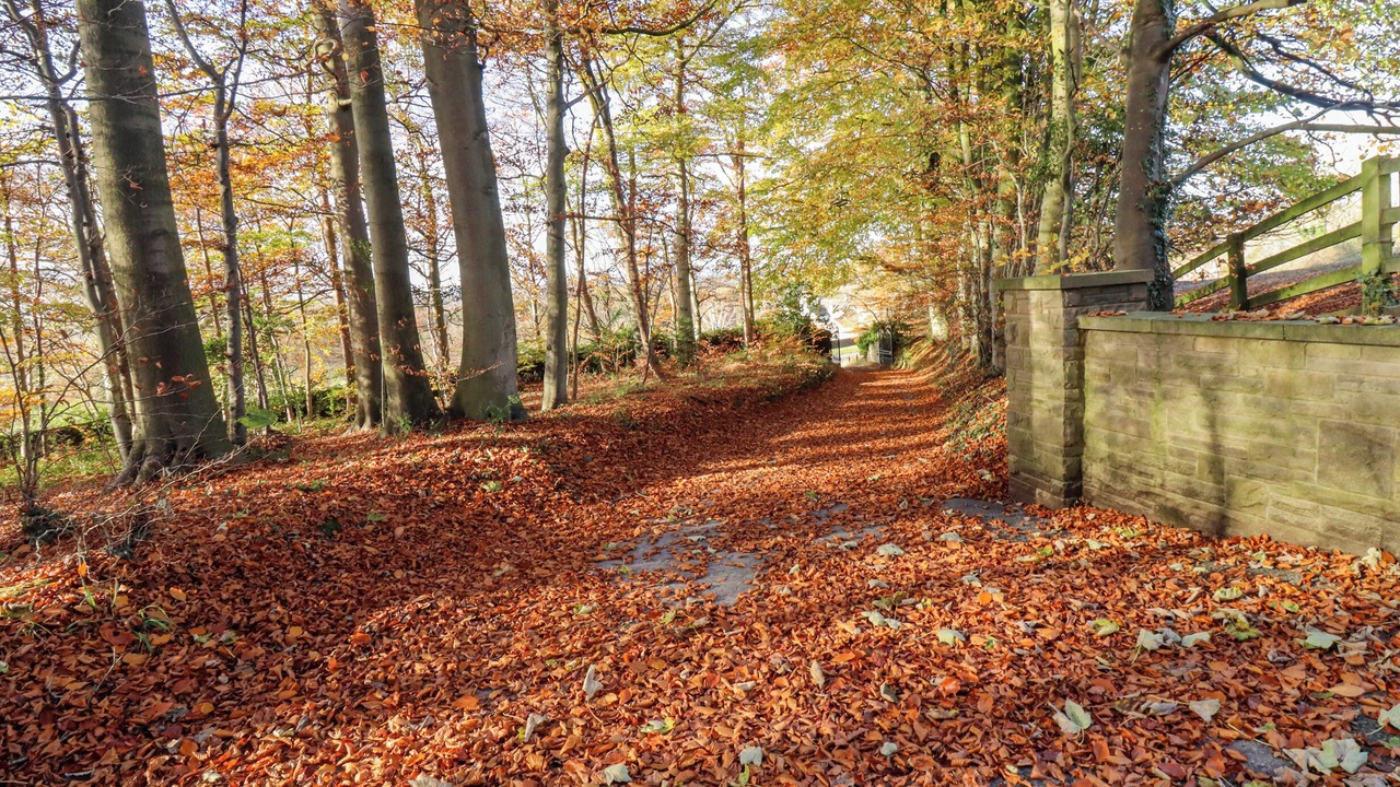 Photo of Outdoor in Knaresborough