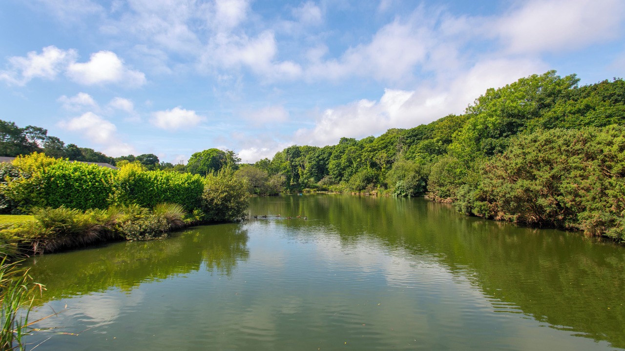 Photo of Others in Gwinear