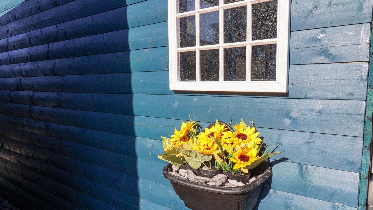 Photo of Outdoor in Cayton Bay