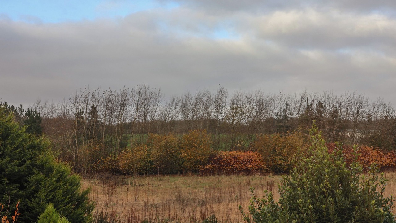 Photo of Others in Cayton Bay